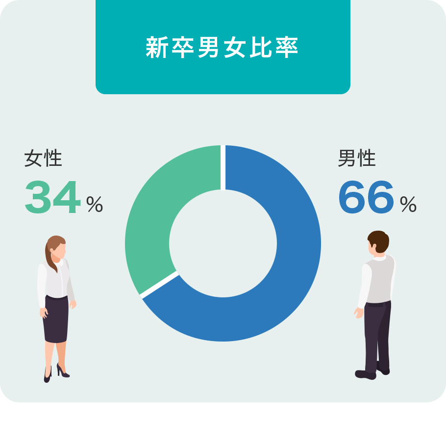 新卒男女比率　男性66%　女性34%